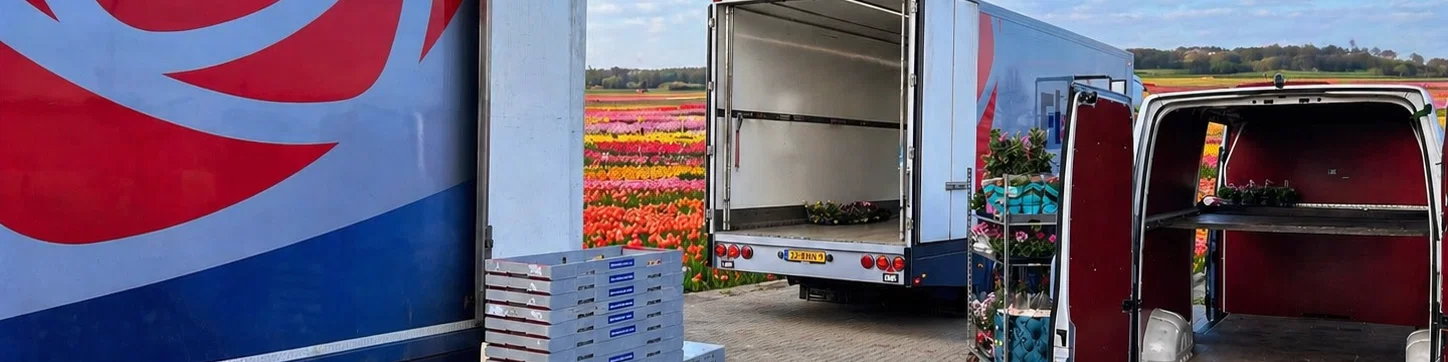 Fleuren bezorging bij het tulpenveld