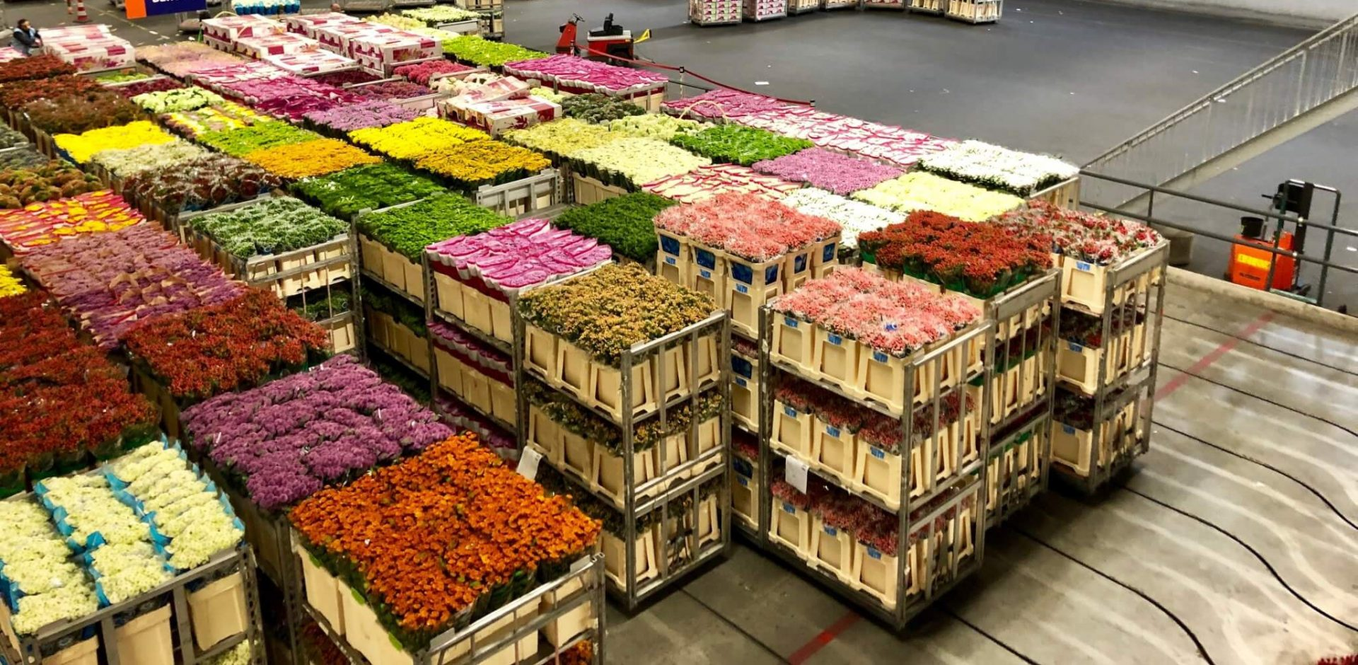 Breed assortiment bloemen op de veiling